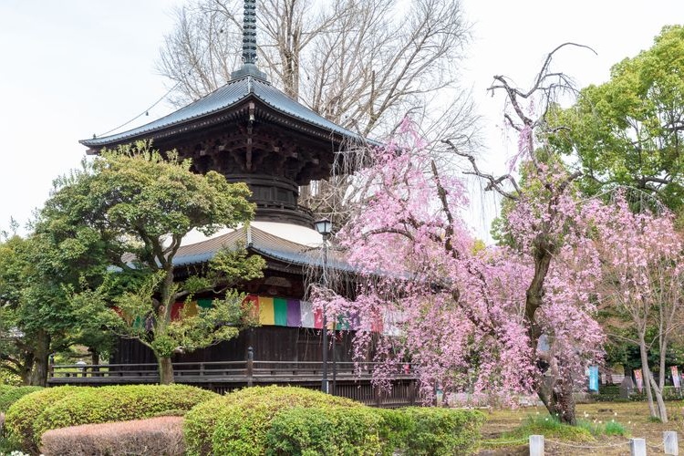 Tourist destination images of Daijizō Banna-ji Temple(3)
