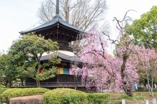 Tourist destination images of Daijizō Banna-ji Temple(3)