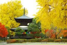 Tourist destination images of Daijizō Banna-ji Temple(6)