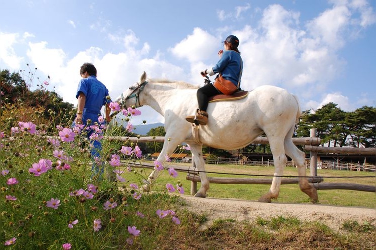 Nasu Highland Minamigaoka Farm