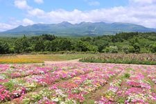 Tourist destination images of Nasu Flower World(3)