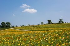 Tourist destination images of Nasu Flower World(5)