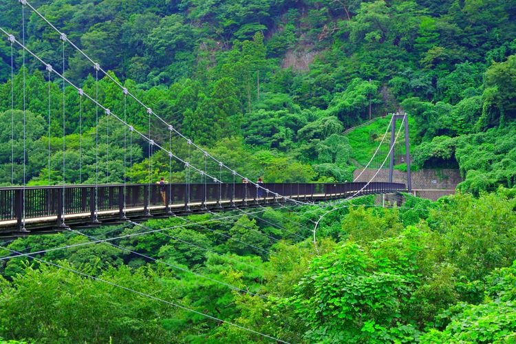 Tourist destination images of Kinugawa Tateiwa Great Suspension Bridge(3)