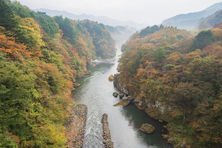 Tourist destination images of Kinugawa Tateiwa Great Suspension Bridge(2)