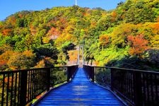 Tourist destination images of Kinugawa Tateiwa Great Suspension Bridge(1)