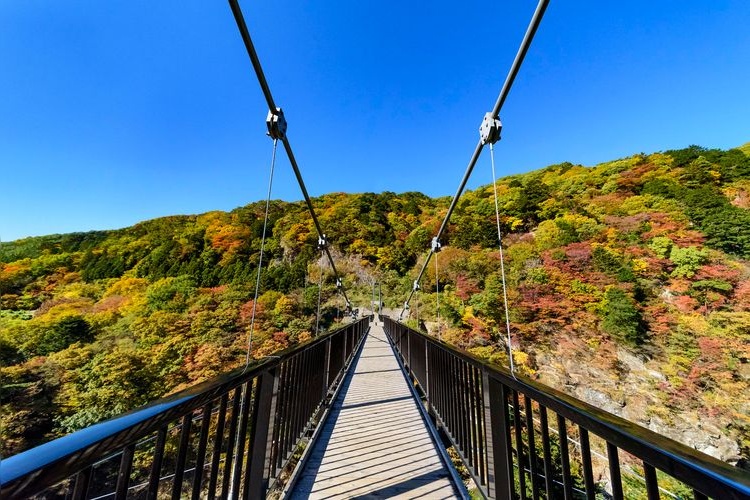 Kinugawa Tateiwa Great Suspension Bridge