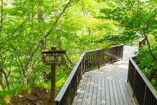 Tourist destination images of Kirifuri Falls(3)