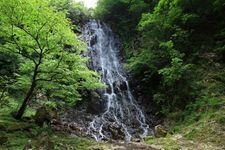 Tourist destination images of Kirifuri Falls(3)