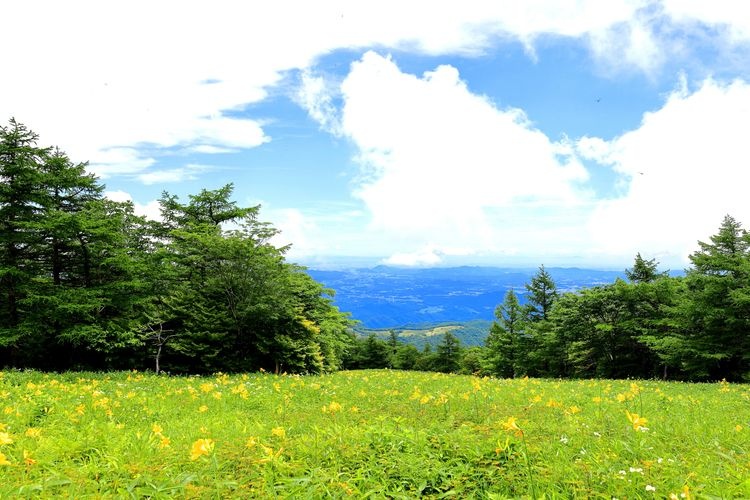 Tourist destination images of Kirifuri Kogen Kisugehira Garden(3)