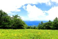 Tourist destination images of Kirifuri Kogen Kisugehira Garden(3)