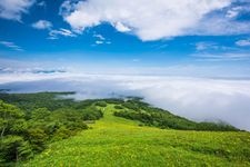 霧降高原黃色萱草平園地的觀光地圖片(2)