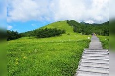 霧降高原黃色萱草平園地的觀光地圖片(3)