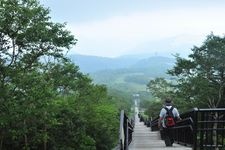 霧降高原黃色萱草平園地的觀光地圖片(4)