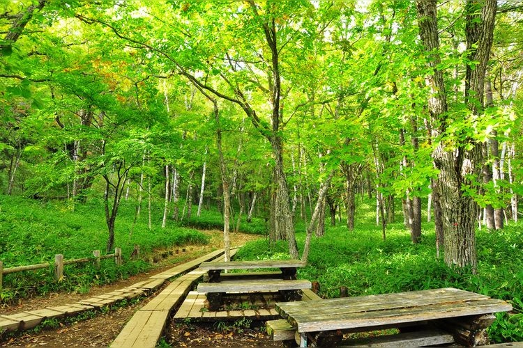 Tourist destination images of Senjogahara(4)