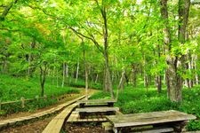 Tourist destination images of Senjogahara(4)
