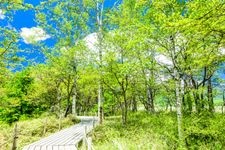 Tourist destination images of Senjogahara(2)
