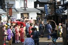 Tourist destination images of Nikko Edomura(5)