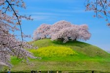 Tourist destination images of Lake Nozori(3)