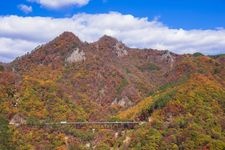 Tourist destination images of Yambamba Bridge(1)