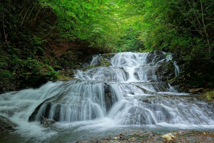 Uonome no Taki (Fish-Stopping Waterfall)