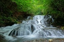 Tourist destination images of Uonome no Taki (Fish-Stopping Waterfall)(1)