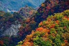 Tourist destination images of Agatsuma Gorge(3)