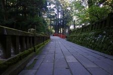 Tourist destination images of Haruna Shrine(8)