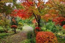 Tourist destination images of Shōrinzan Darumadera Temple(3)