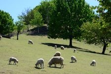 Tourist destination images of Ikaho Green Ranch(2)