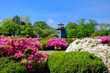 Tourist destination images of Numata Park (Numata Castle Ruins)(2)