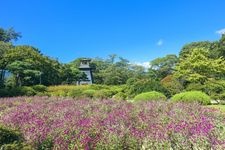 Tourist destination images of Numata Park (Numata Castle Ruins)(3)