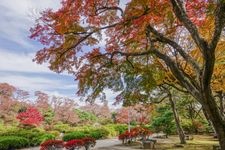 Tourist destination images of Numata Park (Numata Castle Ruins)(5)