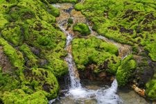 Tourist destination images of Chatsubomigoke Park(2)