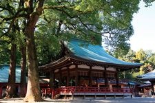 Tourist destination images of Musashi Ichinomiya Hikawa Shrine(3)