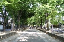 Tourist destination images of Musashi Ichinomiya Hikawa Shrine(4)