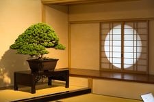 Tourist destination images of Ōmiya Bonsai Village(1)