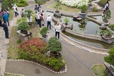 Tourist destination images of Ōmiya Bonsai Village(4)