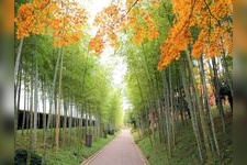 Tourist destination images of Koshigaya Hanadaen Garden & Hanada Sixth Park(2)