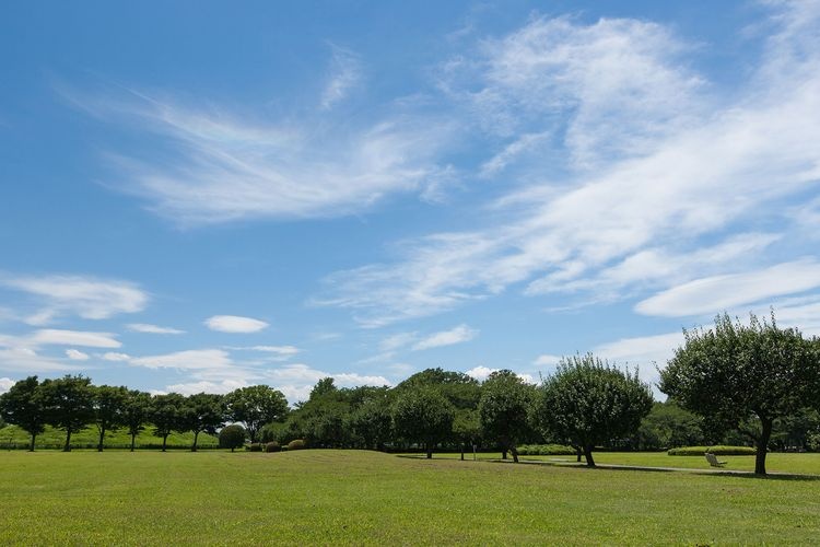 Sakitama Kofun Park