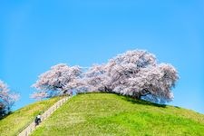 Tourist destination images of Sakitama Kofun Park(2)