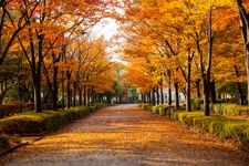 Tourist destination images of Sakitama Kofun Park(3)