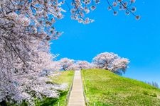 Tourist destination images of Sakitama Kofun Park(4)