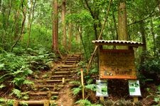 Tourist destination images of Totoro's Forest Site 1(1)