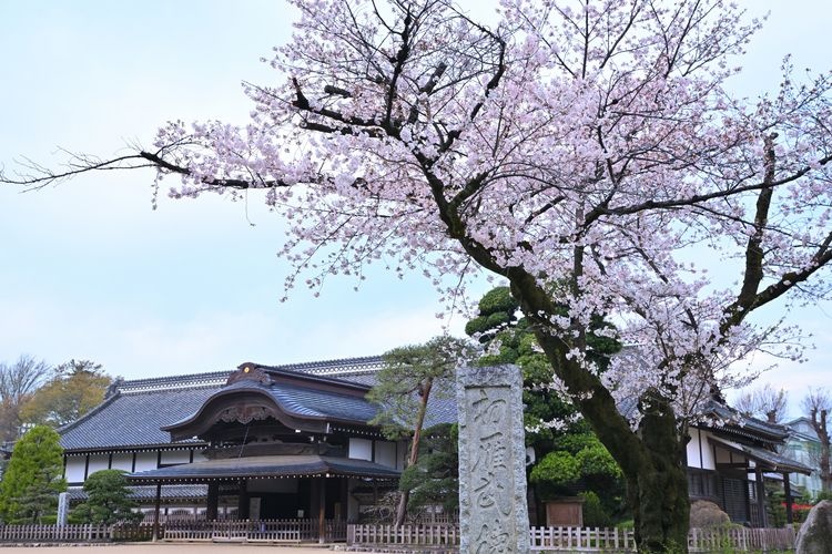 Tourist destination images of Kawagoe Castle Honmaru Goten(2)