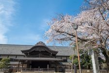 Tourist destination images of Kawagoe Castle Honmaru Goten(5)