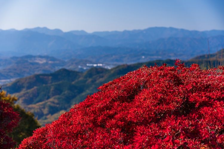 Tourist destination images of Hodosan Ropeway(3)