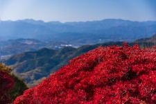 Tourist destination images of Hodosan Ropeway(3)