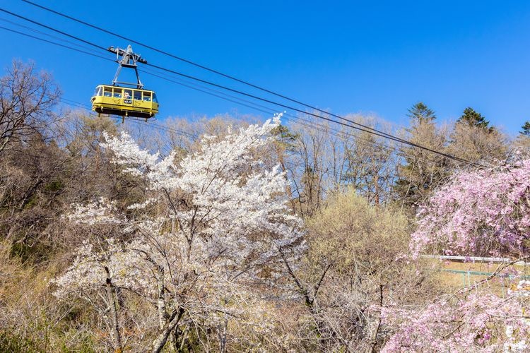 Tourist destination images of Hodosan Ropeway(4)
