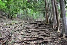 Tourist destination images of Mitsumine Shrine(7)