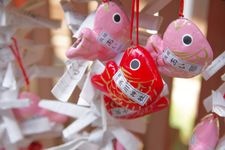 Tourist destination images of Kawagoe Hikawa Shrine(4)